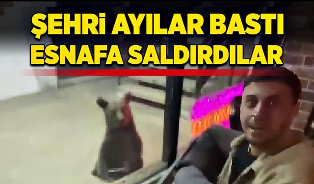 Şehri ayılar bastı! Esnafa saldırdılar