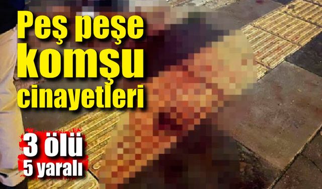 Peş peşe komşu cinayetleri; 3 ölü, 7 yaralı