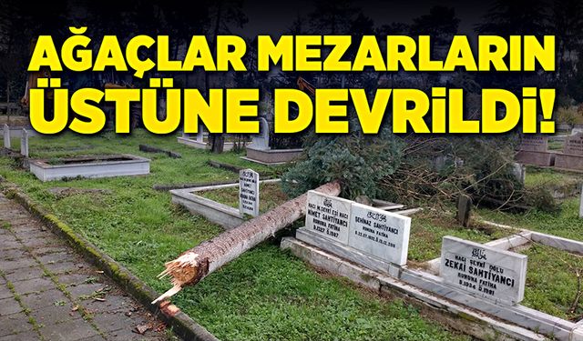 Ağaçlar fırtınaya dayanamadı, mezarlığa devrildi