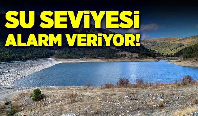 Kösen Çayırı Göleti'nin su seviyesi alarm veriyor