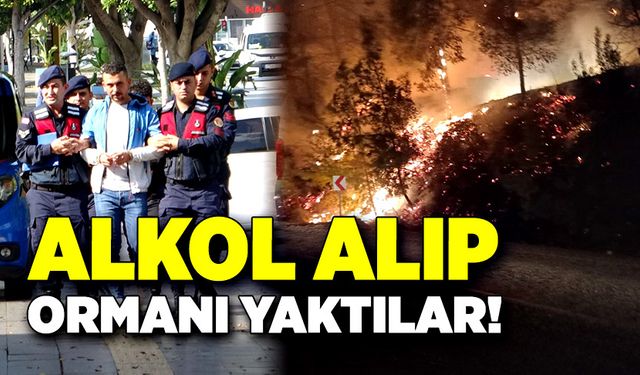 Alkol alıp ormanı yaktılar!