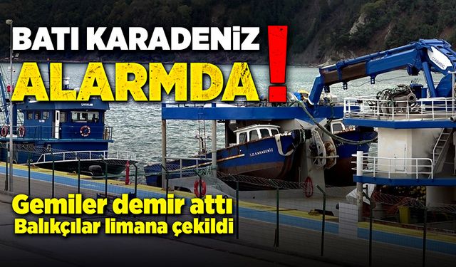 Batı Karadeniz Alarmda: Gemiler Demir Attı, Balıkçılar Limana Çekildi!