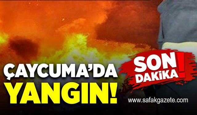 Çaycuma’da yangın çıktı!