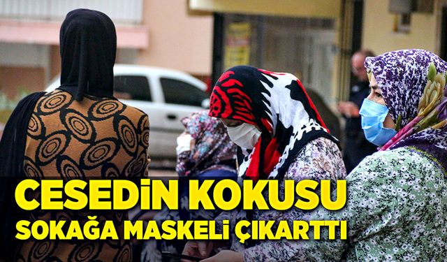 Cesedin kokusu, sokağa maskeli çıkarttı!