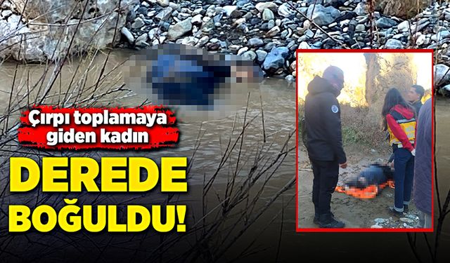 Çırpı toplamaya giden kadın, derede boğuldu!