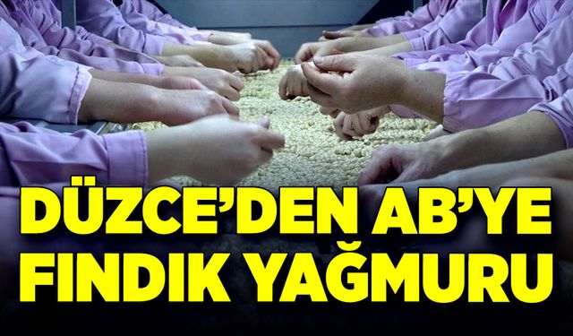 Düzce’den AB’ye fındık yağmuru!