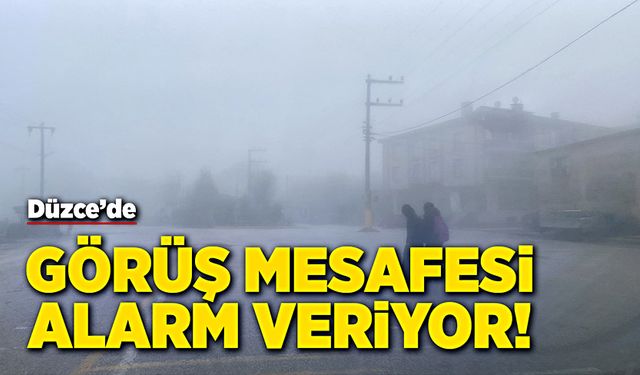 Düzce’de görüş mesafesi alarm veriyor!