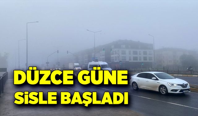 Düzce güne sisle uyandı