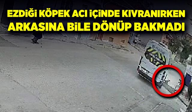 Ezdiği köpek acı içinde kıvranırken, arkasına bile dönüp bakmadı!