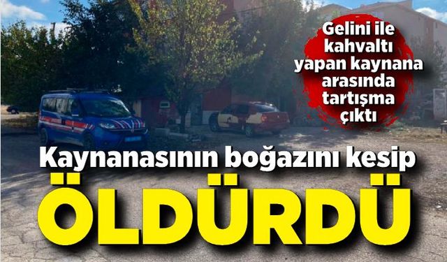 Gelin, kaynanasının boğazını keserek öldürdü