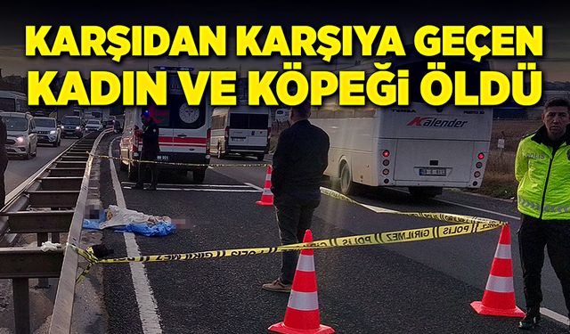 Köpeğiyle birlikte karşıya geçerken ikisi de hayatını kaybetti!