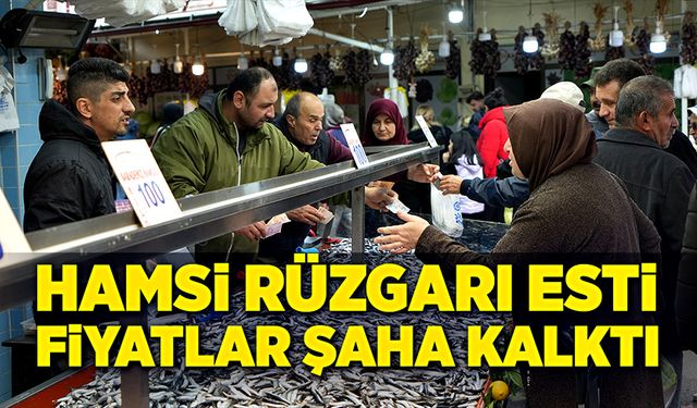 Hamsi rüzgarı esti, fiyatlar şaha kalktı!