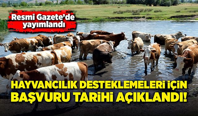 Hayvancılık desteklemeleri için başvuru tarihi açıklandı!