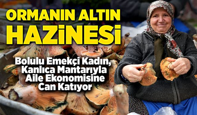 Ormanın altın hazinesi! Kanlıca mantarıyla aile ekonomisine katkı sağlıyor