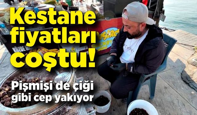 Kestane fiyatları coştu! Pişmişi de çiği gibi cep yakıyor