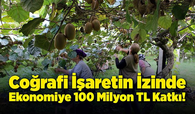 Coğrafi işaretin izinde, ekonomiye 100 milyon TL katkı!