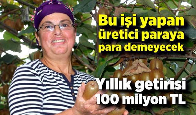 Bu işi yapan üretici paraya para demeyecek; Yıllık getirisi 100 milyon TL