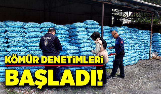 Kömür denetimleri başladı!