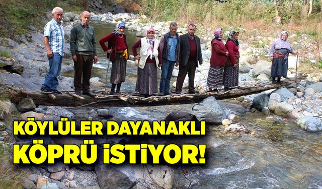 Köylüler dayanaklı köprü istiyor!