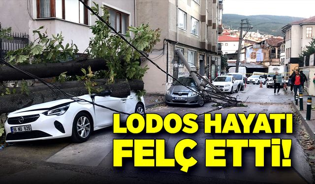 Lodos hayatı felç etti!