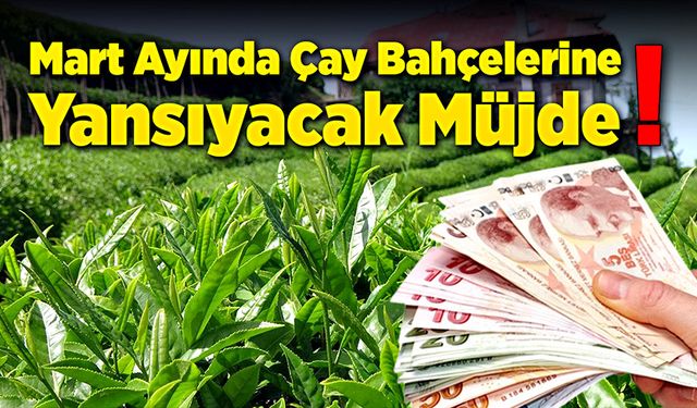 Mart ayında çay bahçelerine yansıyacak müjde!