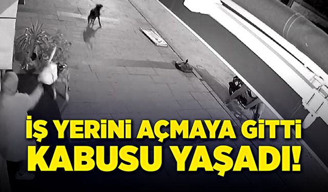 İş yerini açmaya gitti, kabusu yaşadı!