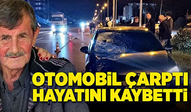 Otomobil çarptı, hayatını kaybetti!