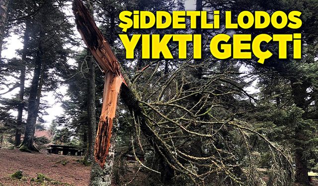 Şiddetli lodos, yıktı geçti!