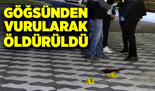 Göğsünden vurularak öldürüldü!