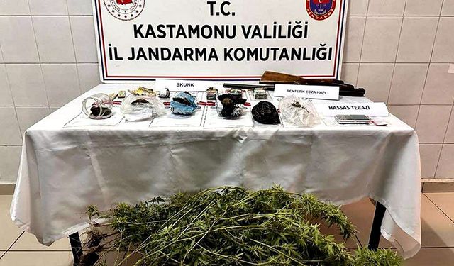 Skunk bitkileri evlere saklandı, jandarma operasyonu ile ele geçirildi