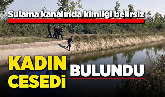 Sulama kanalında kimliği belirsiz kadın cesedi bulundu!