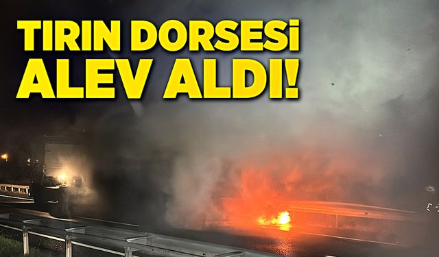 Tırın dorsesi alev aldı!