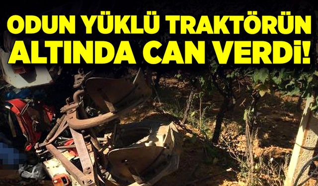 Odun yüklü traktörün altında can verdi!