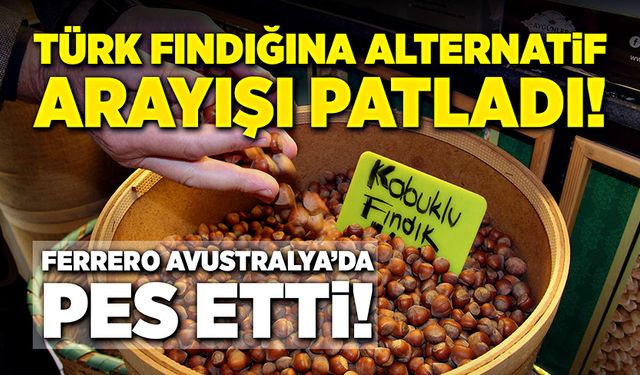 Türk fındığına alternatif arayışı patladı: Ferrero, Avustralya'da pes etti!