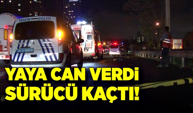 Yaya can verdi, sürücü kaçtı!