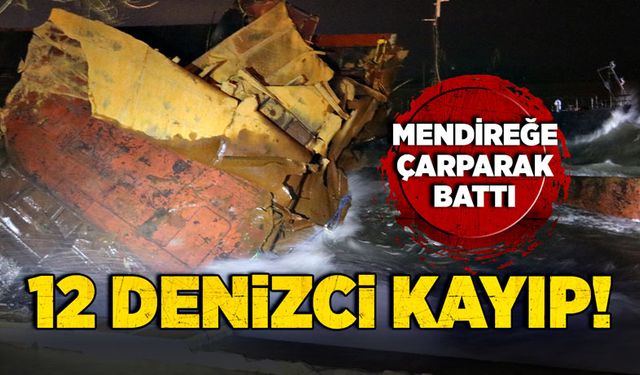 Mendireğe çarparak battı! 12 Denizci kayıp!