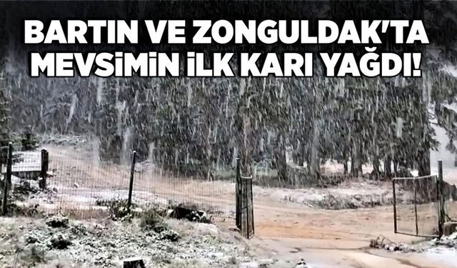 Bartın ve Zonguldak'ta mevsimin ilk karı yağdı