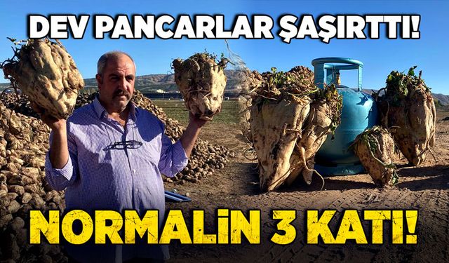 Dev pancarlar şaşırttı! Normalin 3 katı!