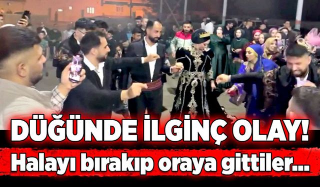 Düğünde ilginç olay! Halayı bırakıp oraya gittiler…