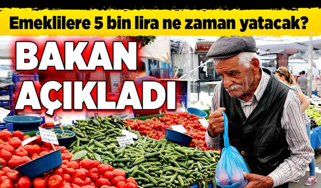 Emeklilere 5 bin lira ne zaman yatacak? Bakan açıkladı