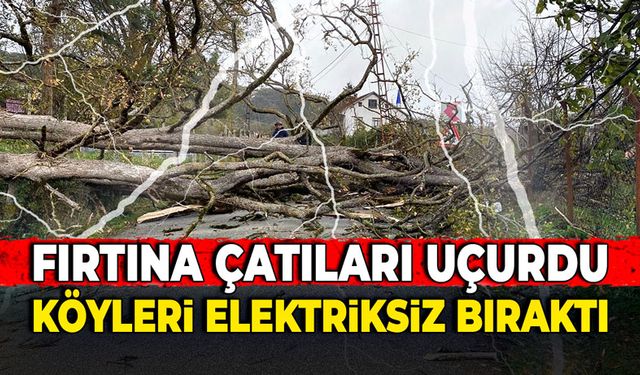 Fırtına çatıları uçurdu, köyleri elektriksiz bıraktı