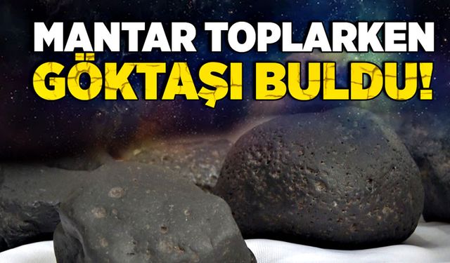 Mantar toplarken gök taşı buldu