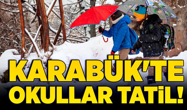 Karabük'te 2 ilçede okullar tatil!