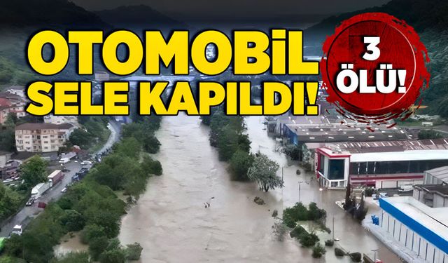 Otomobil sele kapıldı: 3 ölü