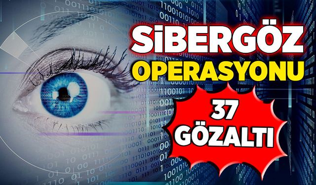 Sibergöz operasyonu: 37 gözaltı