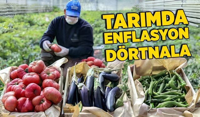 Tarımda enflasyon dörtnala