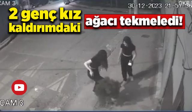 İki genç kız kaldırımdaki ağacı tekmeledi!