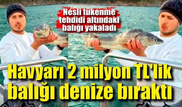 Havyarı 2 milyon TL'lik balığı denize bıraktı