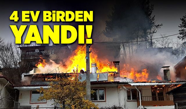 Dört ev birden alevlere teslim oldu!