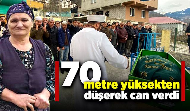 Yol kenarında yürürken minibüs çarptı!